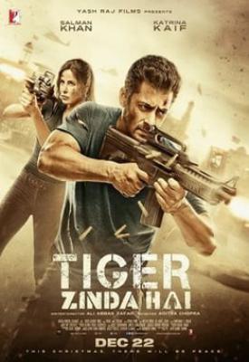 image for  Tiger Zinda Hai movie